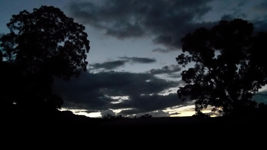 Tarde en algúna Tierra recuperada